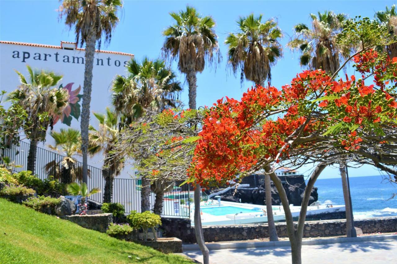 Ocean Panorama Apartman Puerto de Santiago Kültér fotó